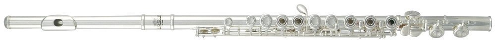 Флейта Roy Benson FL-602RI, в линию, профессиональная