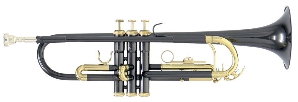 Труба Bb Roy Benson TR-101K, ученическая