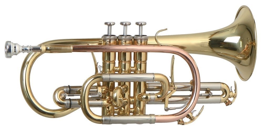 Корнет Bb Roy Benson CR-302, профессиональный