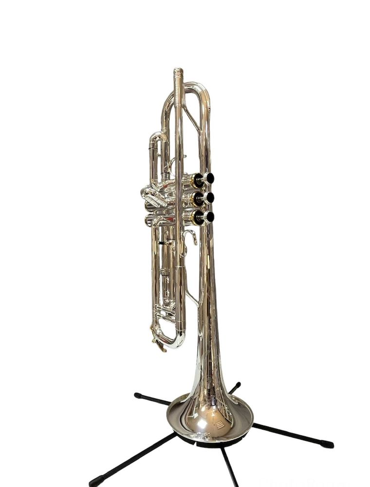 Труба in Bb Доценко и Ко. DTR-8010SG, мастеровая, серебрение и золотой лак