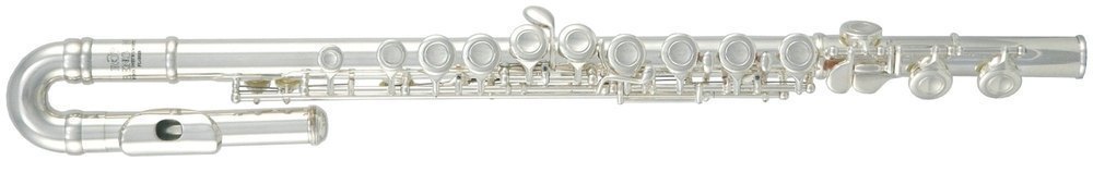 Флейта Roy Benson FL-402E2, без резонаторов, не в линию, полупрофессиональная