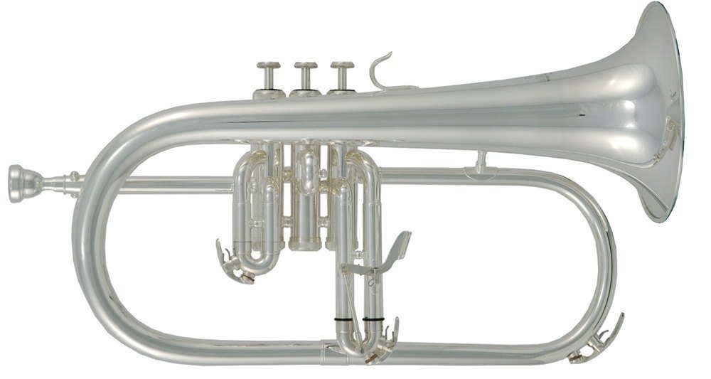 Флюгельгорн Bb Roy Benson FH-302S, профессиональный