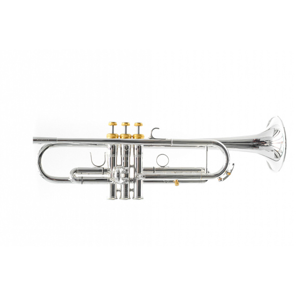 Труба in Bb Доценко и Ко. - Egger DTR-903E, Rhenus, мастеровая, серебрение