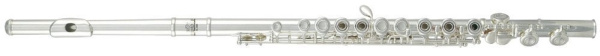 Флейта Roy Benson FL-402R, в линию, с резонаторами, полупрофессиональная