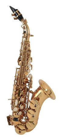 Сопрано-саксофон Roy Benson SG-302, изогнутый, профессиональный