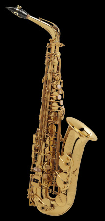 Альт-саксофон Selmer Super Action 80 Series II GG, профессиональный, золотой лак