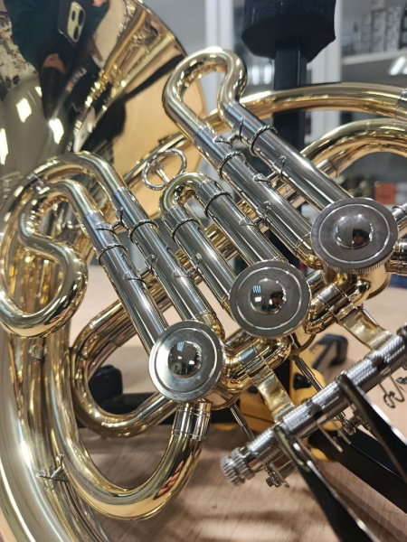 kDTq4EiGHl.jpg