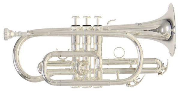 Корнет Bb Roy Benson CR-202S, полупрофессиональный