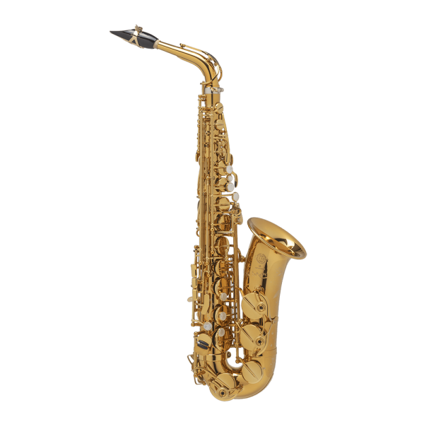 Альт-саксофон Selmer Supreme DGG, профессиональный