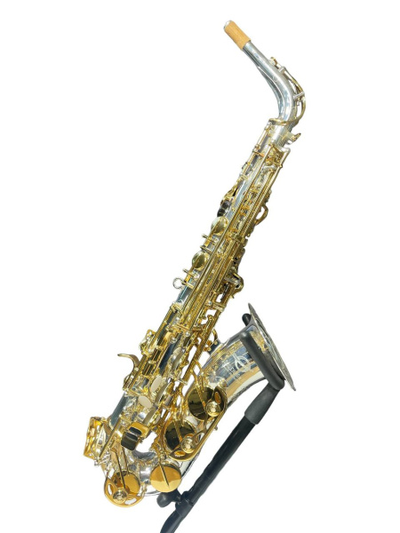 Альт-саксофон Доценко и Ко. DAS-803SG, профессиональный, серебрение и золотой лак