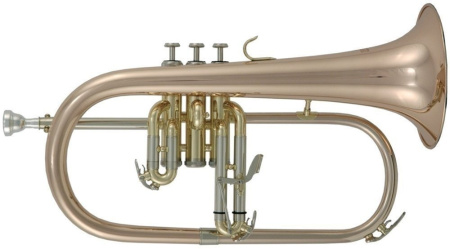 Флюгельгорн Bb Roy Benson FH-302G, профессиональный