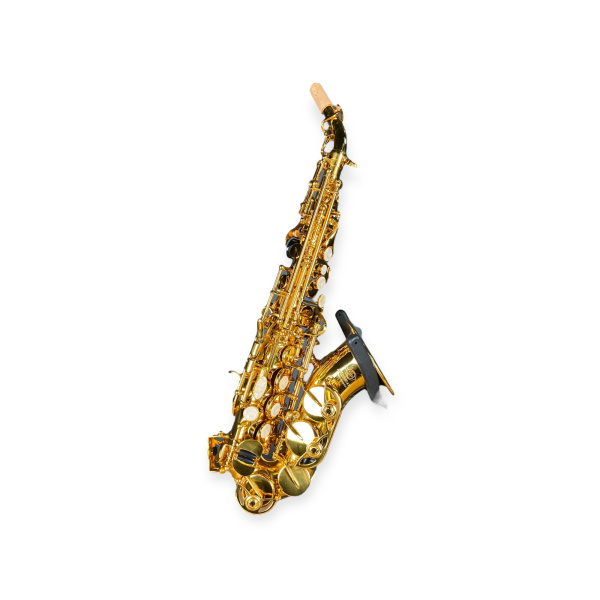 Сопрано-саксофон Доценко и Ко. DSG-121p серия Первый инструмент, ученический, гнутый, подушки Pisoni