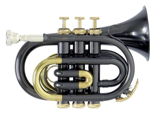 Труба Bb карманная Roy Benson PT-101K, ученическая