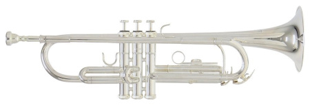 Труба Bb Roy Benson TR-202S, студенческая