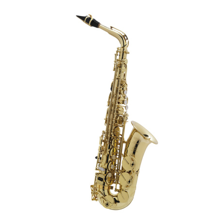 Альт-саксофон Axos Seles by Selmer, студенческий